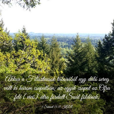 Picture 03 - 1 Sámuel 13:17 KAR - Akkor a Filiszteusok táborából egy dúló - Bible Verse Picture