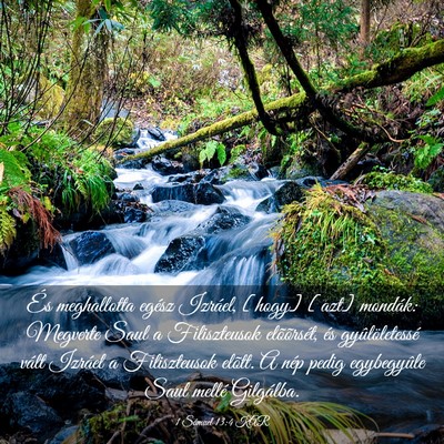 Picture 03 - 1 Sámuel 13:4 KAR - És meghallotta egész Izráel, [hogy] [azt] - Bible Verse Picture
