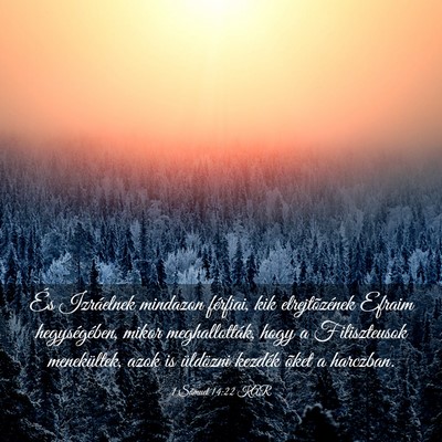 Picture 03 - 1 Sámuel 14:22 KAR - És Izráelnek mindazon férfiai, kik - Bible Verse Picture