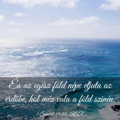 Picture 03 - 1 Sámuel 14:25 KAR - És az egész föld népe eljuta az erdõbe, hol - Bible Verse Picture
