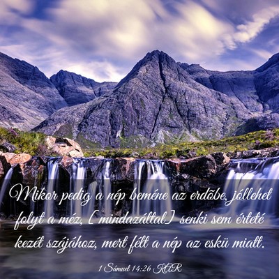 Picture 03 - 1 Sámuel 14:26 KAR - Mikor pedig a nép beméne az erdõbe, jóllehet - Bible Verse Picture