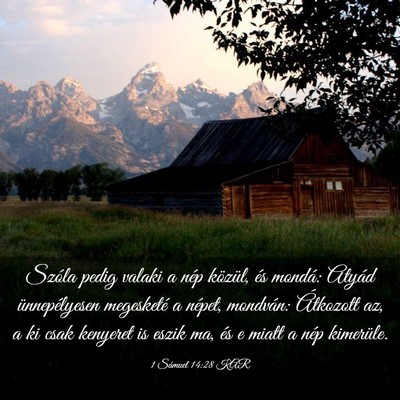Picture 03 - 1 Sámuel 14:28 KAR - Szóla pedig valaki a nép közül, és mondá: - Bible Verse Picture