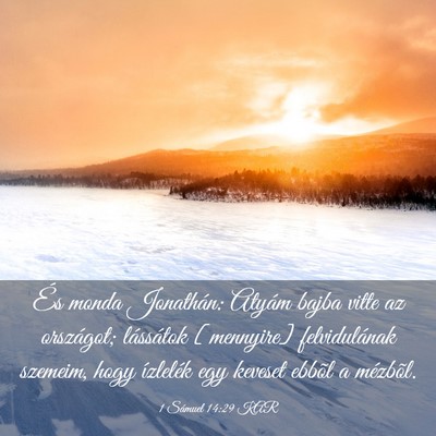 Picture 03 - 1 Sámuel 14:29 KAR - És monda Jonathán: Atyám bajba vitte az - Bible Verse Picture