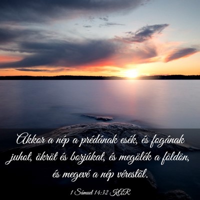 Picture 03 - 1 Sámuel 14:32 KAR - Akkor a nép a prédának esék, és fogának - Bible Verse Picture
