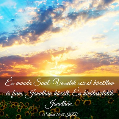 Picture 03 - 1 Sámuel 14:42 KAR - És monda Saul: Vessetek sorsot közöttem és - Bible Verse Picture