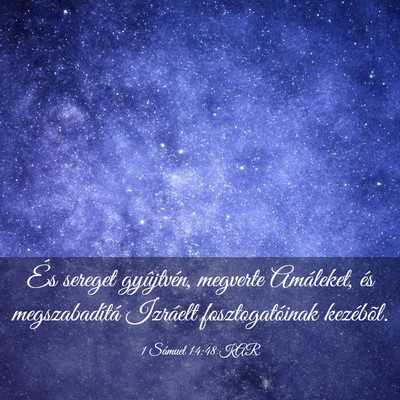 Picture 03 - 1 Sámuel 14:48 KAR - És sereget gyûjtvén, megverte Amáleket, és - Bible Verse Picture