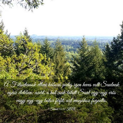 Picture 03 - 1 Sámuel 14:52 KAR - A Filiszteusok elleni háború pedig igen heves - Bible Verse Picture
