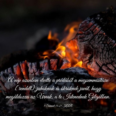 Picture 03 - 1 Sámuel 15:21 KAR - A nép azonban elvette a prédából a - Bible Verse Picture