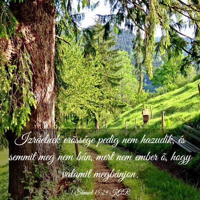 Picture 03 - 1 Sámuel 15:29 KAR - Izráelnek erõssége pedig nem hazudik, és - Bible Verse Picture