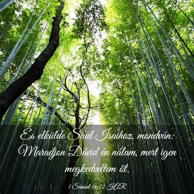 Picture 03 - 1 Sámuel 16:22 KAR - És elkülde Saul Isaihoz, mondván: Maradjon - Bible Verse Picture