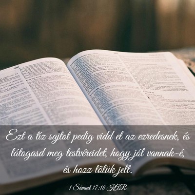 Picture 03 - 1 Sámuel 17:18 KAR - Ezt a tíz sajtot pedig vidd el az ezredesnek, - Bible Verse Picture