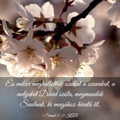 Picture 03 - 1 Sámuel 17:31 KAR - És mikor meghallották azokat a szavakat, a - Bible Verse Picture