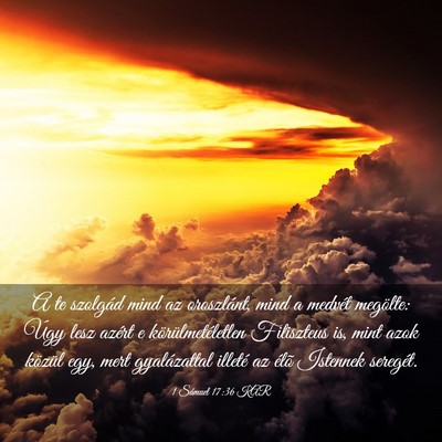Picture 03 - 1 Sámuel 17:36 KAR - A te szolgád mind az oroszlánt, mind a medvét - Bible Verse Picture