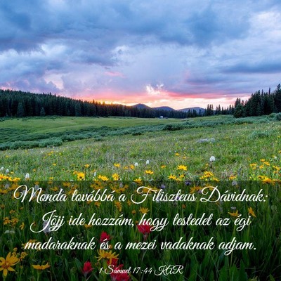 Picture 03 - 1 Sámuel 17:44 KAR - Monda továbbá a Filiszteus Dávidnak: Jõjj ide - Bible Verse Picture
