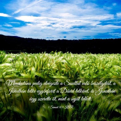 Picture 03 - 1 Sámuel 18:1 KAR - Minekutána pedig elvégezte a Saullal való - Bible Verse Picture