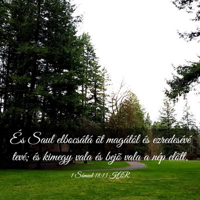 Picture 03 - 1 Sámuel 18:13 KAR - És Saul elbocsátá õt magától és - Bible Verse Picture