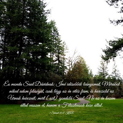 Picture 03 - 1 Sámuel 18:17 KAR - És monda Saul Dávidnak: Ímé idõsebbik - Bible Verse Picture