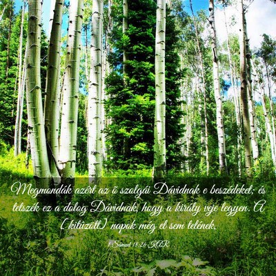 Picture 03 - 1 Sámuel 18:26 KAR - Megmondák azért az õ szolgái Dávidnak e - Bible Verse Picture
