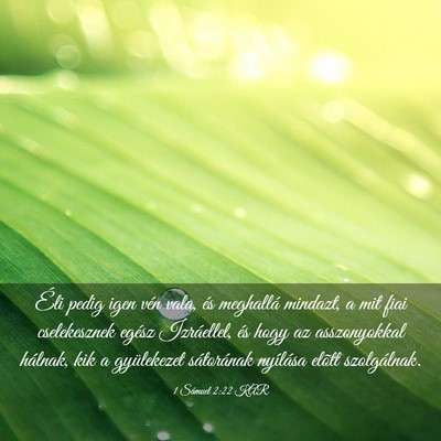 Picture 03 - 1 Sámuel 2:22 KAR - Éli pedig igen vén vala, és meghallá mindazt, - Bible Verse Picture