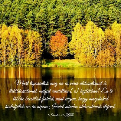 Picture 03 - 1 Sámuel 2:29 KAR - Miért tapossátok meg az én véres áldozatomat - Bible Verse Picture