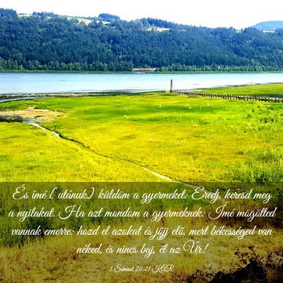 Picture 03 - 1 Sámuel 20:21 KAR - És ímé [utánuk] küldöm a gyermeket: Eredj, - Bible Verse Picture