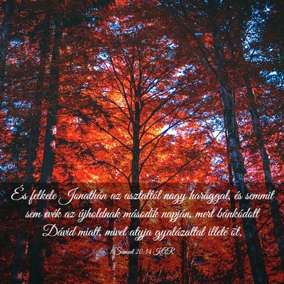 Picture 03 - 1 Sámuel 20:34 KAR - És felkele Jonathán az asztaltól nagy - Bible Verse Picture