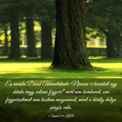 Picture 03 - 1 Sámuel 21:8 KAR - És monda Dávid Akhiméleknek: Nincsen-é - Bible Verse Picture