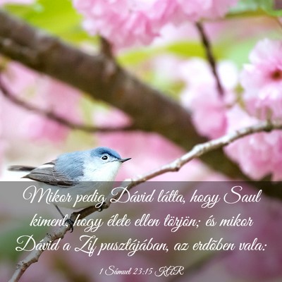 Picture 03 - 1 Sámuel 23:15 KAR - Mikor pedig Dávid látta, hogy Saul kiment, hogy - Bible Verse Picture