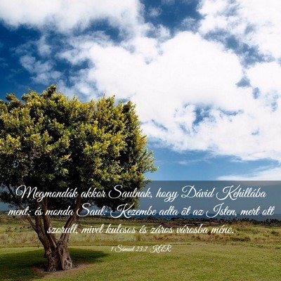 Picture 03 - 1 Sámuel 23:7 KAR - Megmondák akkor Saulnak, hogy Dávid Kehillába - Bible Verse Picture