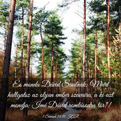 Picture 03 - 1 Sámuel 24:10 KAR - És monda Dávid Saulnak: Miért hallgatsz az - Bible Verse Picture