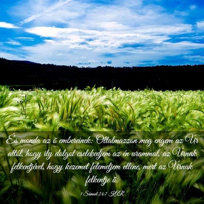 Picture 03 - 1 Sámuel 24:7 KAR - És monda az õ embereinek: Oltalmazzon meg engem - Bible Verse Picture