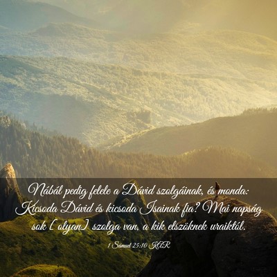 Picture 03 - 1 Sámuel 25:10 KAR - Nábál pedig felele a Dávid szolgáinak, és - Bible Verse Picture