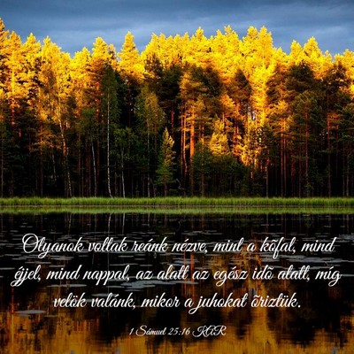 Picture 03 - 1 Sámuel 25:16 KAR - Olyanok voltak reánk nézve, mint a kõfal, mind - Bible Verse Picture