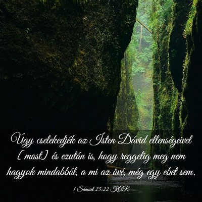 Picture 03 - 1 Sámuel 25:22 KAR - Úgy cselekedjék az Isten Dávid ellenségeivel - Bible Verse Picture
