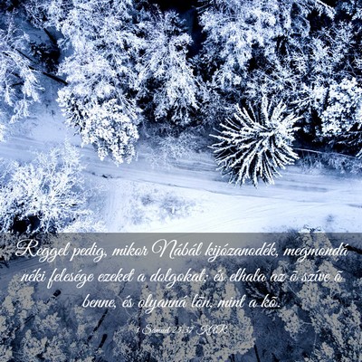 Picture 03 - 1 Sámuel 25:37 KAR - Reggel pedig, mikor Nábál kijózanodék, - Bible Verse Picture