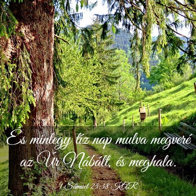 Picture 03 - 1 Sámuel 25:38 KAR - És mintegy tíz nap mulva megveré az Úr - Bible Verse Picture