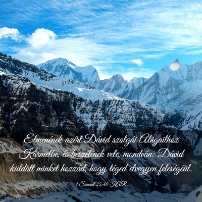 Picture 03 - 1 Sámuel 25:40 KAR - Elmenének azért Dávid szolgái Abigailhoz - Bible Verse Picture