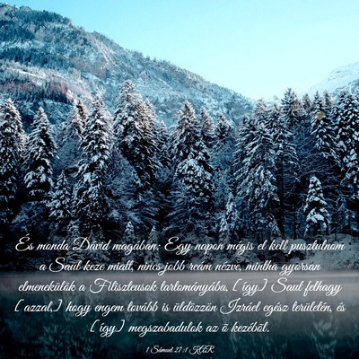 Picture 03 - 1 Sámuel 27:1 KAR - És monda Dávid magában: Egy napon mégis el - Bible Verse Picture