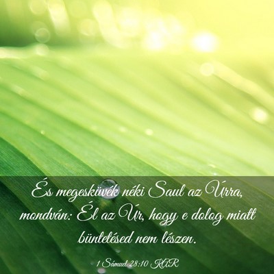 Picture 03 - 1 Sámuel 28:10 KAR - És megesküvék néki Saul az Úrra, mondván: - Bible Verse Picture
