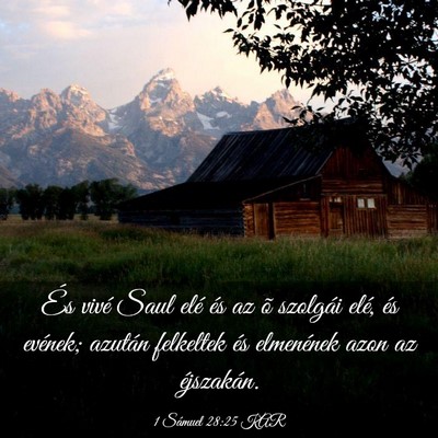 Picture 03 - 1 Sámuel 28:25 KAR - És vivé Saul elé és az õ szolgái elé, és - Bible Verse Picture