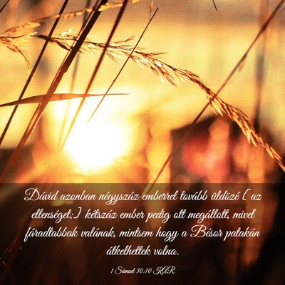 Picture 03 - 1 Sámuel 30:10 KAR - Dávid azonban négyszáz emberrel tovább - Bible Verse Picture