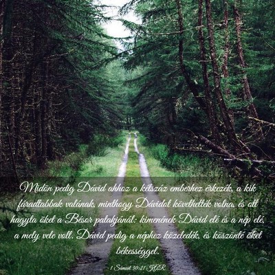 Picture 03 - 1 Sámuel 30:21 KAR - Midõn pedig Dávid ahhoz a kétszáz emberhez - Bible Verse Picture