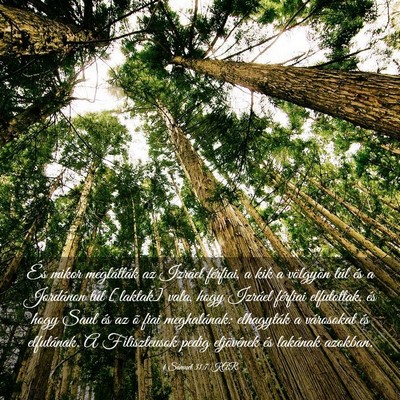 Picture 03 - 1 Sámuel 31:7 KAR - És mikor meglátták az Izráel férfiai, a kik - Bible Verse Picture