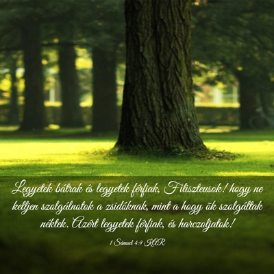 Picture 03 - 1 Sámuel 4:9 KAR - Legyetek bátrak és legyetek férfiak, - Bible Verse Picture