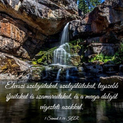 Picture 03 - 1 Sámuel 8:16 KAR - Elveszi szolgáitokat, szolgálóitokat, legszebb - Bible Verse Picture