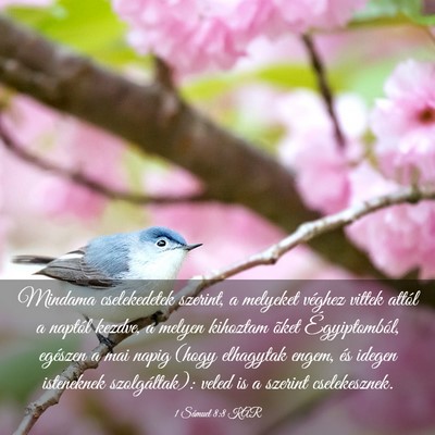 Picture 03 - 1 Sámuel 8:8 KAR - Mindama cselekedetek szerint, a melyeket véghez - Bible Verse Picture