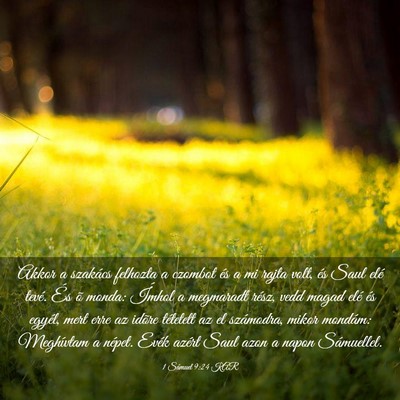 Picture 03 - 1 Sámuel 9:24 KAR - Akkor a szakács felhozta a czombot és a mi - Bible Verse Picture