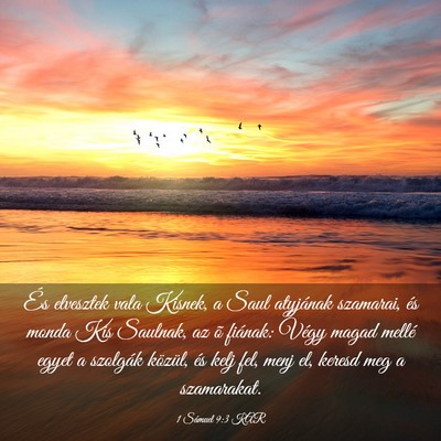 Picture 03 - 1 Sámuel 9:3 KAR - És elvesztek vala Kisnek, a Saul atyjának - Bible Verse Picture