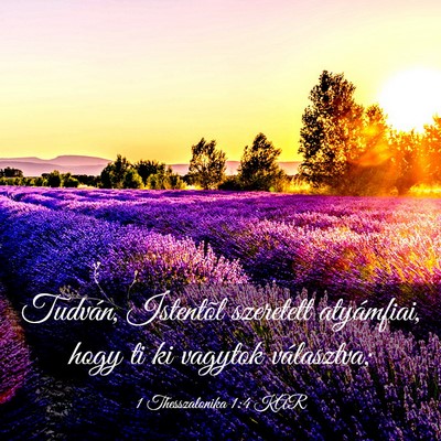 Picture 03 - 1 Thesszalonika 1:4 KAR - Tudván, Istentõl szeretett atyámfiai, hogy ti - Bible Verse Picture