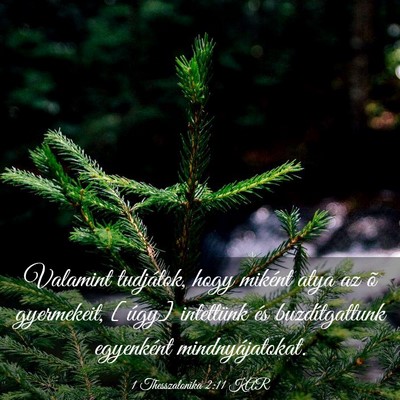 Picture 03 - 1 Thesszalonika 2:11 KAR - Valamint tudjátok, hogy miként atya az õ - Bible Verse Picture
